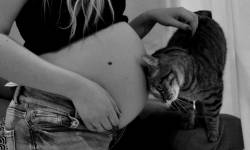 Ambre OGNAR - AMBRE & LUMIERE